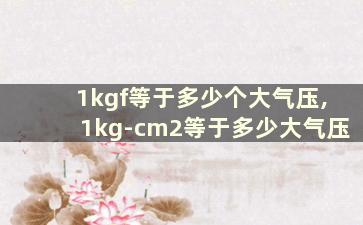 1kgf等于多少个大气压,1kg-cm2等于多少大气压