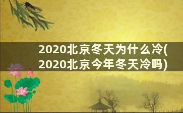 2020北京冬天为什么冷(2020北京今年冬天冷吗)