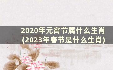 2020年元宵节属什么生肖(2023年春节是什么生肖)