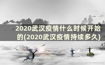 2020武汉疫情什么时候开始的(2020武汉疫情持续多久)