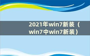 2021年win7新装（win7中win7新装）
