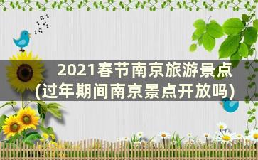 2021春节南京旅游景点(过年期间南京景点开放吗)