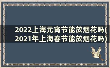 2022上海元宵节能放烟花吗(2021年上海春节能放烟花吗)