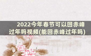 2022今年春节可以回赤峰过年吗视频(能回赤峰过年吗)