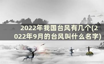 2022年我国台风有几个(2022年9月的台风叫什么名字)