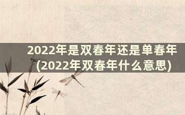 2022年是双春年还是单春年(2022年双春年什么意思)