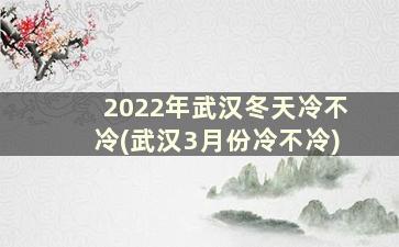 2022年武汉冬天冷不冷(武汉3月份冷不冷)