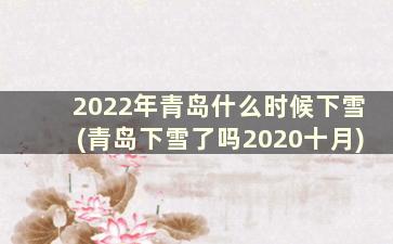 2022年青岛什么时候下雪(青岛下雪了吗2020十月)