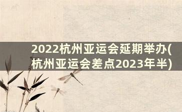 2022杭州亚运会延期举办(杭州亚运会差点2023年半)