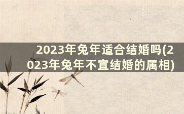 2023年兔年适合结婚吗(2023年兔年不宜结婚的属相)