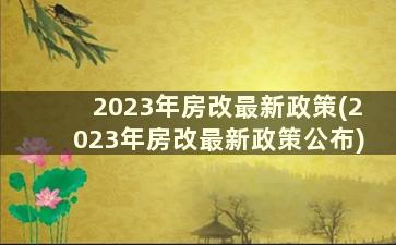 2023年房改最新政策(2023年房改最新政策公布)