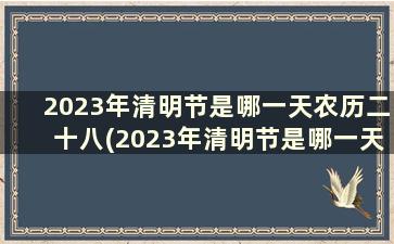 2023年清明节是哪一天农历二十八(2023年清明节是哪一天农历)