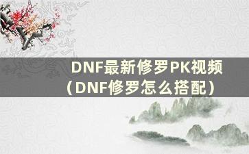 DNF最新修罗PK视频（DNF修罗怎么搭配）