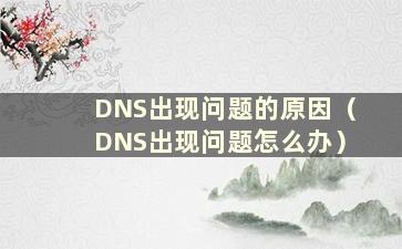 DNS出现问题的原因（DNS出现问题怎么办）