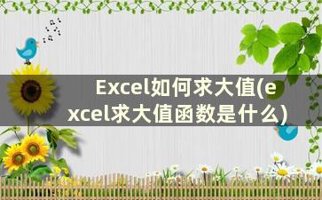 Excel如何求大值(excel求大值函数是什么)