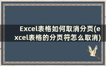 Excel表格如何取消分页(excel表格的分页符怎么取消)