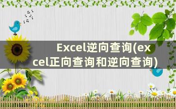 Excel逆向查询(excel正向查询和逆向查询)