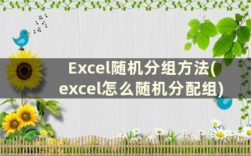 Excel随机分组方法(excel怎么随机分配组)