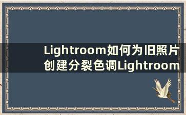 Lightroom如何为旧照片创建分裂色调Lightroom如何为旧照片创建分裂色调【详解】