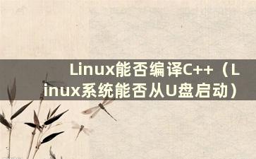 Linux能否编译C++（Linux系统能否从U盘启动）