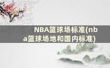 NBA篮球场标准(nba篮球场地和国内标准)