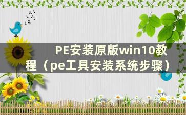 PE安装原版win10教程（pe工具安装系统步骤）