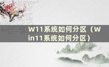 W11系统如何分区（Win11系统如何分区）