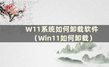W11系统如何卸载软件（Win11如何卸载）