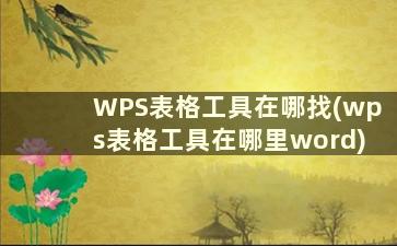 WPS表格工具在哪找(wps表格工具在哪里word)