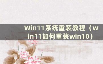 Win11系统重装教程（win11如何重装win10）