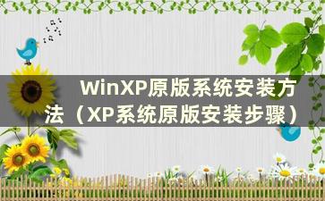 WinXP原版系统安装方法（XP系统原版安装步骤）