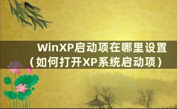 WinXP启动项在哪里设置（如何打开XP系统启动项）