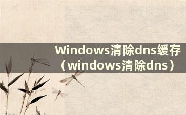 Windows清除dns缓存（windows清除dns）