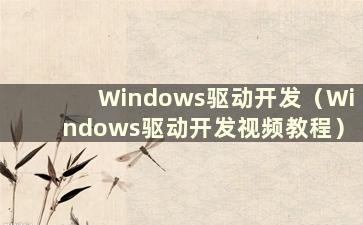 Windows驱动开发（Windows驱动开发视频教程）
