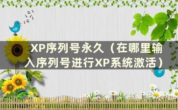 XP序列号永久（在哪里输入序列号进行XP系统激活）