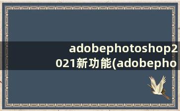 adobephotoshop2021新功能(adobephotoshop4.0)
