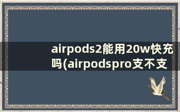 airpods2能用20w快充吗(airpodspro支不支持20w快充)