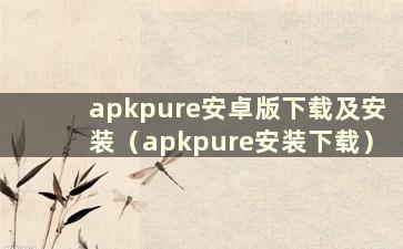 apkpure安卓版下载及安装（apkpure安装下载）