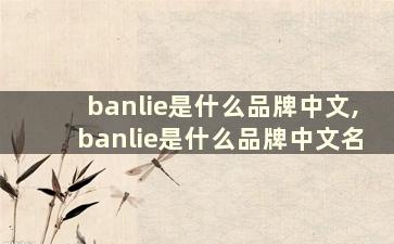 banlie是什么品牌中文,banlie是什么品牌中文名