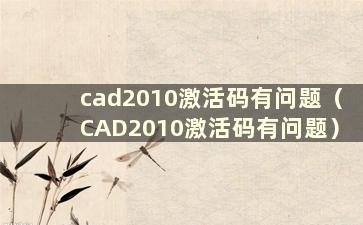 cad2010激活码有问题（CAD2010激活码有问题）