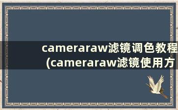 cameraraw滤镜调色教程(cameraraw滤镜使用方法)