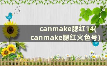 canmake腮红14(canmake腮红火色号)