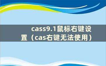 cass9.1鼠标右键设置（cas右键无法使用）