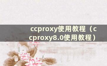 ccproxy使用教程（ccproxy8.0使用教程）