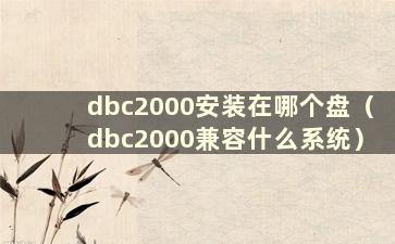 dbc2000安装在哪个盘（dbc2000兼容什么系统）