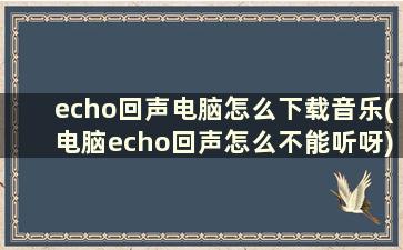 echo回声电脑怎么下载音乐(电脑echo回声怎么不能听呀)