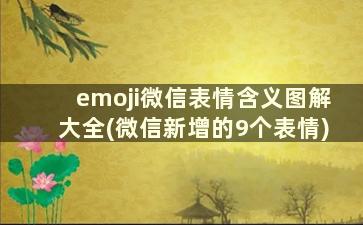 emoji微信表情含义图解大全(微信新增的9个表情)