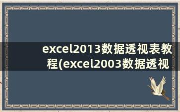 excel2013数据透视表教程(excel2003数据透视表怎么做)