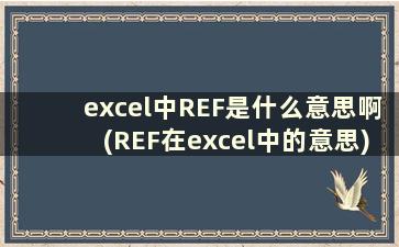 excel中REF是什么意思啊(REF在excel中的意思)