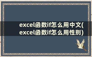 excel函数if怎么用中文(excel函数if怎么用性别)